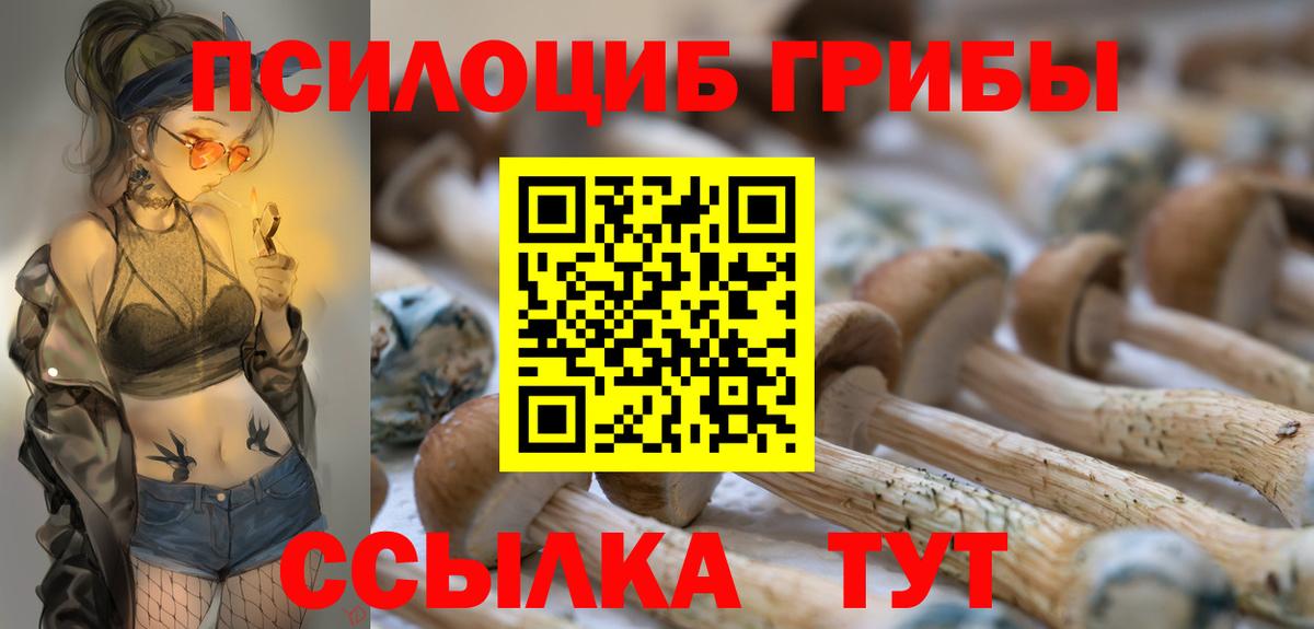 Галлюциногенные грибы Cubensis Всеволожск